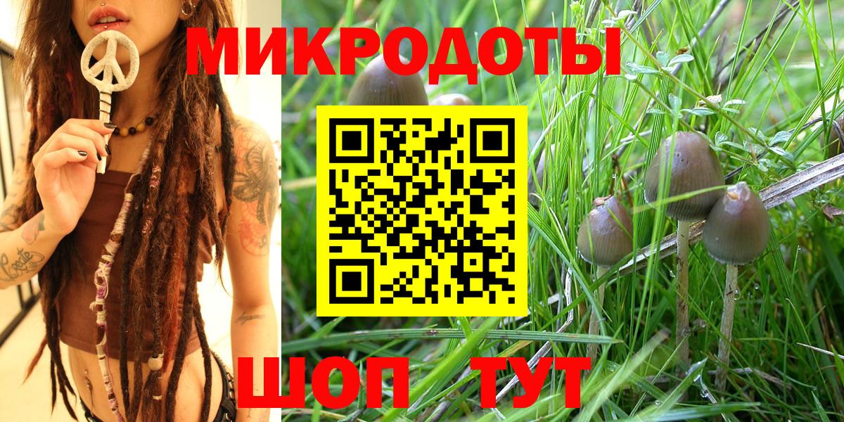 Псилоцибиновые грибы мицелий Ипатово