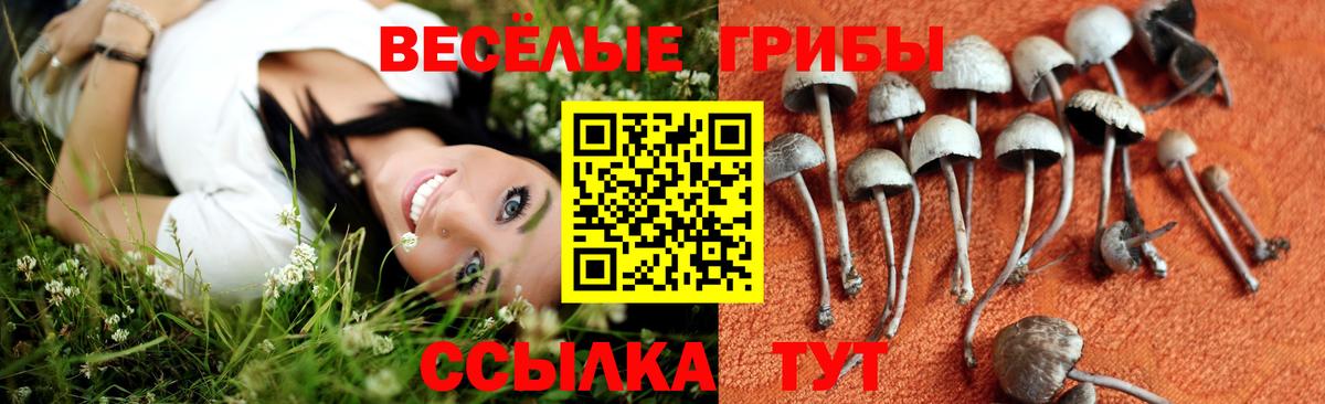 Ипатово  закладки  Вход с VPN  Галлюциногенные грибы GOLDEN TEACHER 